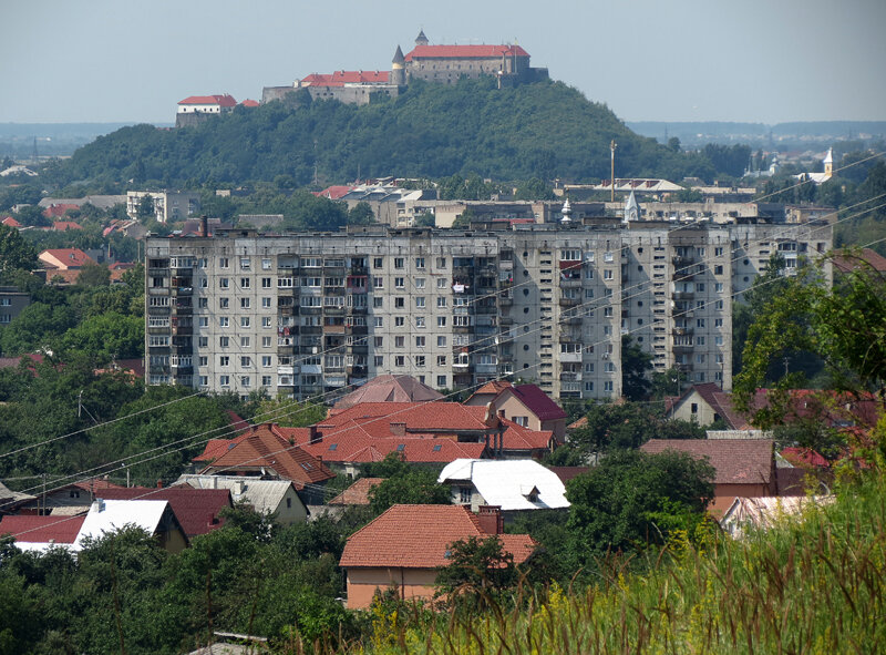 na-zakarpatie-viavleni-naryshenia